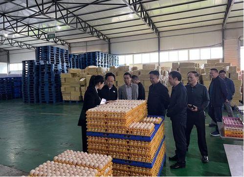 周華榮赴夾江縣開展畜禽水產養殖污染防治條例立法調研