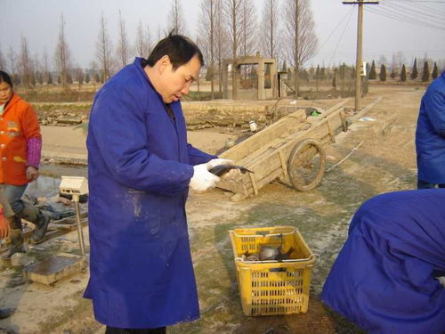 新冠肺炎疫情對(duì)漁業(yè)影響與春季生產(chǎn)技術(shù)指導(dǎo)意見(jiàn) 以江西為例