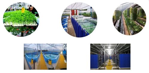 水產(chǎn)養(yǎng)殖博覽會新亮點呈現(xiàn)