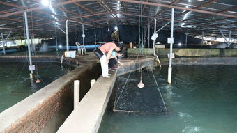 全國水產(chǎn)養(yǎng)殖尾水排放要求標準技術調研工作交流會在天馬科技集團圓滿召開 天馬科技