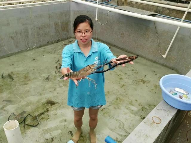 廣東18人上榜!首屆&ldquo;全國鄉村振興青年先鋒&rdquo;評選結果揭曉