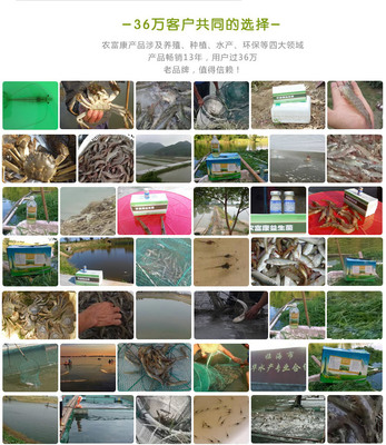 益生菌養(yǎng)蝦技術(shù)就用農(nóng)富康水產(chǎn)em養(yǎng)殖益生菌