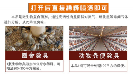 快速降低雞圈臭味氨氣用什么藥好對(duì)雞沒危害