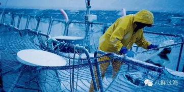 先進(jìn)水產(chǎn)養(yǎng)殖技術(shù)及設(shè)備之網(wǎng)箱水產(chǎn)養(yǎng)殖