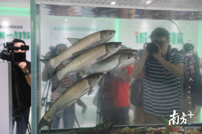 從南沙科學(xué)城到生命科學(xué)城,科創(chuàng)高地為何如此重視農(nóng)業(yè)?