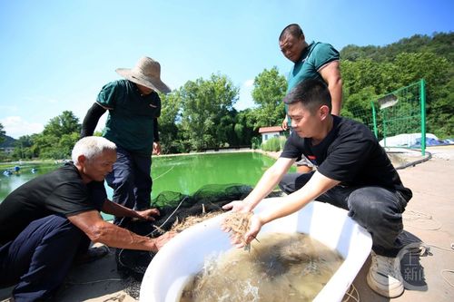 重慶巴南 水產(chǎn)養(yǎng)殖助增收