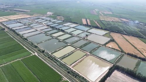 南鱗北育添新族 豐盈魚市增收益