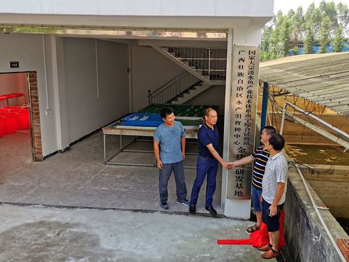 深耕八桂漁水情，科技扶貧譜新篇——記廣西水產(chǎn)引育種中心大宗淡水魚(yú)產(chǎn)業(yè)技術(shù)扶貧團(tuán)隊(duì)