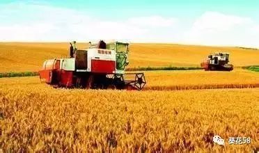 今年農業(yè)整體呈現(xiàn)'四漲一降'態(tài)勢，水產養(yǎng)殖表現(xiàn)突出